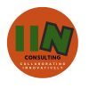 IIN Consulting logo - Similar company to Affirm Consulting, Training & Coaching