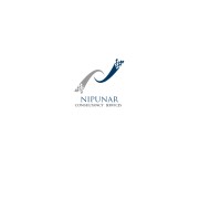Nipunar Consultancy Services logo - Similar company to Kiran Softech.