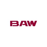 BAW Italia logo - Similar company to Tc8