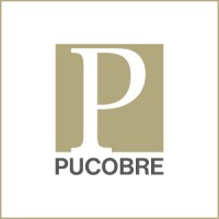 Pucobre logo - Similar company to Gpolarol®