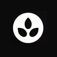 Arsène logo - Similar company to Tweenmind Brandcast Studio- Influencer Marketing Partner