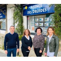 AGENCE DES DRUIDES logo - Similar company to Adviz - Agence De Marketing Digital