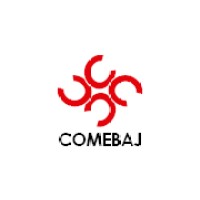 COMEBAJ-QRO logo - Similar company to Nesis Automation
