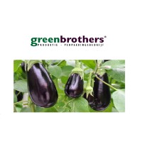Greenbrothers V.O.F. logo - Similar company to Solyco