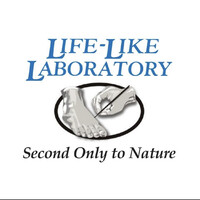 Life-Like Laboratory logo - Similar company to Be More Adaptive