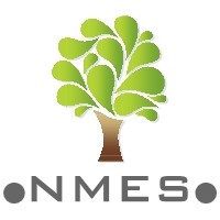 NMES logo - Similar company to Herefu Training Center