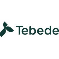 Tebede logo - Similar company to Wall To Wall Group Ab