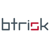 BTRisk logo - Similar company to Cydets