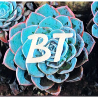 Blognitive Therapy logo - Similar company to Neurequity Limited