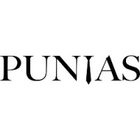 PUNIAS logo - Similar company to Trp Global Technologies