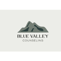 Blue Valley Counseling logo - Similar company to Heartland Therapy Connection