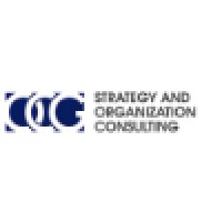 Ocg Strategy And Organization Consulting
