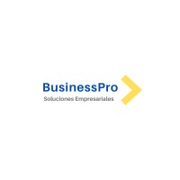 BusinessPro logo - Similar company to It Group