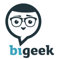 BI Geek logo - Similar company to Bi-Geek