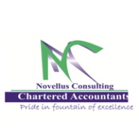 Novellus Consulting Chartered Accountants logo - Similar company to Shickers Clearing & Forwarding