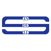 Indyli-Services logo - Similar company to Inet Consulting