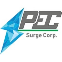 PEC Surge Corporation logo - Similar company to Rajan Electro Control