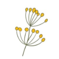 Kinderboetiek Doorn logo - Similar company to Gewoon Goed Uden