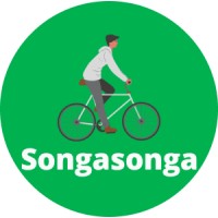 SongaSonga Solutions Ltd logo - Similar company to Move With Songa