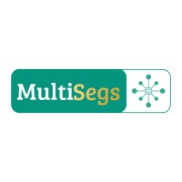 MultiSegs Assessoria logo - Similar company to Conexão Trabalho Consultoria
