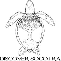 Discover Socotra logo - Similar company to Socotra Escape