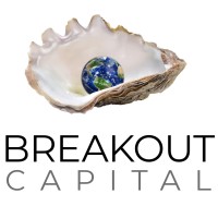 Breakout Capital Partners Advisors Private Limited logo - Similar company to Ignyte Labs