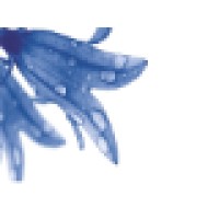 Bluebell Compuserve Pvt Ltd logo - Similar company to Keryar