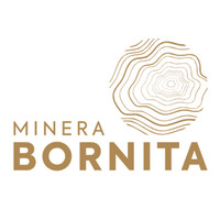 Minera Bornita logo - Similar company to Sociedad Punta De Lobos S.A.