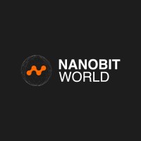 NanoBitWorld logo - Similar company to Solux Studio