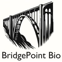 BridgePoint Bio logo - Similar company to Linea Bio