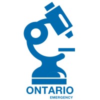 Ontario Group logo - Similar company to Metaconsulting