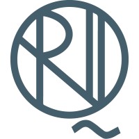 Rise IQ logo - Similar company to Wider Thinking
