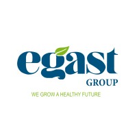 EGAST GROUP logo - Similar company to Palm Egypt