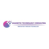 Giganetix Technology Consulting logo - Similar company to Fiscalpath