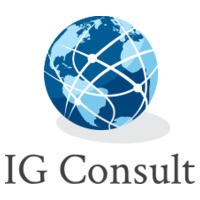IG Consult logo - Similar company to Ig Wbs