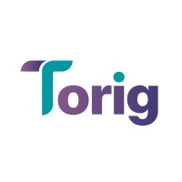 Torig logo - Similar company to S.P.A. Data4U Ltd