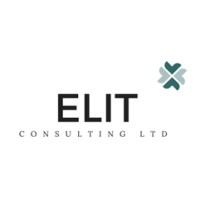 Elit Consulting Ltd logo - Similar company to Elit Consulting