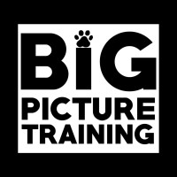 Big Picture Training, Llc
