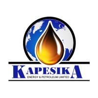 Kapesika Group of Companies logo - Similar company to Pro Pace Solutions