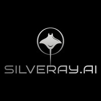 Silveray logo - Similar company to Bracket Financial