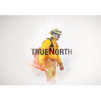 True North Gear® logo - Similar company to Trident Sensing Inc.