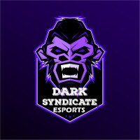 Dark Syndicate, Gaming Club of DTU logo - Similar company to Lal10