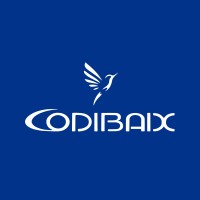 Codibaix S.L. logo - Similar company to Solarcircle