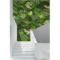 LUXURY GARDEN ORAN logo - Similar company to Metro Languages Oran