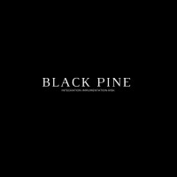 Black Pine Consulting logo - Similar company to Old Pilot'S Spirits