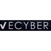 VeCyber logo - Similar company to Mindtap Digital