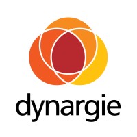 Dynargie logo - Similar company to Brainup