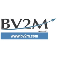BV2M & Associés® ✅ bv2m.com logo - Similar company to Mth Coaching