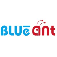 Blueant Finserv Pvt Ltd logo - Similar company to Blueant-It