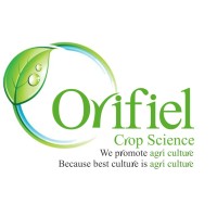 orifielcs logo - Similar company to Wickless Wax Lovers